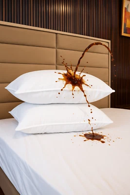 Waterproof Pillow Protectors 2 Pack | Soft Terry | Zippered | Quiet Cover - Image 1 of 4