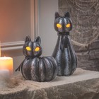 Pumpkin Black Cat Light-Up Halloween Decorations, Home Decor, 2 Pieces