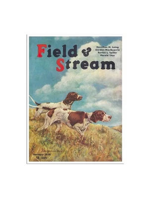 Bird Dogs Poster Hunting Decor Field And Stream 1938 Print 12x16" H1 - Image 1 of 2