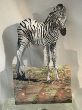 Beak Street Handpainted and designed wood 3 peg leash, cap holder Zebra Colt