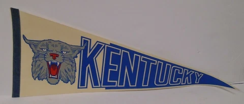 Kentucky Wildcats Collegiate Pennant 30" Long 020320STOR Cover