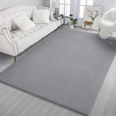 4x6 Grey Area Rugs for Bedroom, Soft Modern Living Room Rug Indoor Non Slip L... - Image 1 of 4