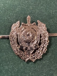 Belarus Republik Staatssicherheitskomitee Offiziersansteckabzeichen - Bild 1 von 10