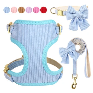 Pettorina+Guinzaglio+Collare per cani gatti Taglia Piccola Imbracatura Papillon - Picture 1 of 41