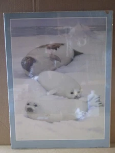 SEALS BY PETER BARRETT 1982 VINTAGE POSTER CNG3156 - Picture 1 of 5