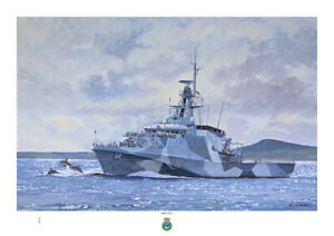 25 HMS Cisne Negro-Edición Limitada Arte