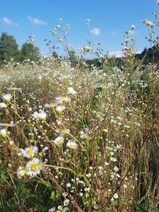 Digital Image Picture Photo Wallpaper Background Beautiful Art # 347 - Picture 1 of 1