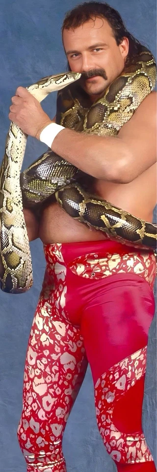 WWE GIGANTE 2’X6’ VINILO BANNER - JAKE THE SNAKE ROBERTS Foto 1 de 1