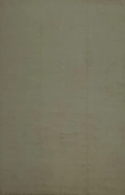 Modern Wool Area Rug 10x13 Hand-knotted Wool Vegetable Dye Solid Design Carpet - Image 1 of 4