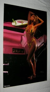Original 1990 PANTERA 22x34 PANTERA DREAM CINDY MARGOLIS - Bild 1 von 6