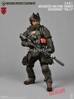 1/6 scale ZERT AMG Juggernaut Sully Wolf Grey ASIA Exclusive Mint In Box