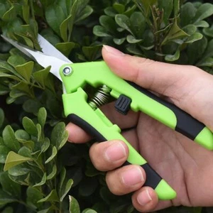 Bonsai Tool Floral Scissors Garden Pruning Shears Garden Scissors Pruning Tools - Picture 1 of 17