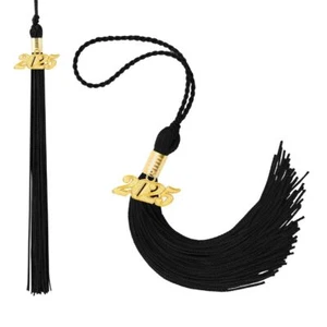 Balck Graduation Tassel 2025 2025 Tassel Graduation 2 Pcs 2025 Tassel Graduat... - Picture 1 of 6