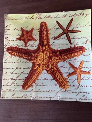 Platos de estrellas de mar de playa bandeja de baratija escritura francesa vidrio 8"x8" Foto 1 de 4