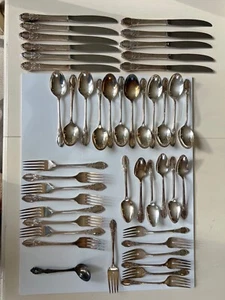 45pc Oneida Wm Rogers AA Silverplate PARK LANE CHATELAINE DOWRY 1957 - Picture 1 of 2
