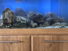 Marine Aquarium Live Rock