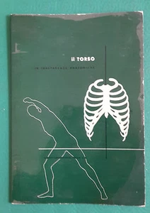 IL TORSO IN TRASPARENZE ANATOMICHE -  ABBOTT TORACE - Picture 1 of 1