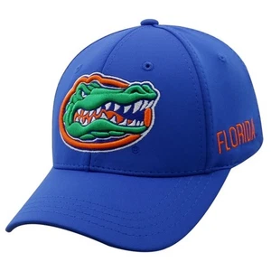 Florida Gators NCAA TOW Choice Memory Fit Hat - Picture 1 of 3