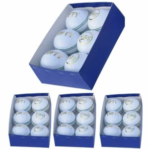 24 Cricket Balls White 4piece 156g Genuine Leather, High Quality Cricket Balls - Picture 1 of 6