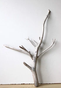 Madera flotante Driftwood 1 raíz decoración terrario 55 cm - Imagen 1 de 18