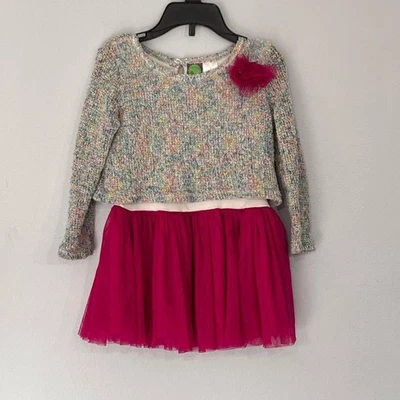 Dollie & Me | Niñas Suéter Forrado Multicolor con Falda Tutú Rosa Vestido Talla 5 Foto 1 de 4