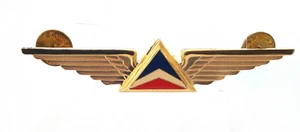 DELTA  AIRLINES WING BADGE Second Officer Wing - Picture 1 of 2