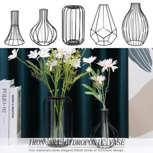 Hydroponic Flower Vase Glass Test Tube Geometric Line Frame Iron Art Vase