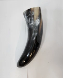Cuerno de búfalo de agua promedio 11-12 pulgadas - Imagen 1 de 19