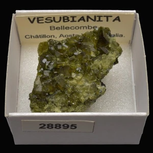 VESUBIANITA (Bellecombe, Chatillion, Aosta valley, Italia) #28895 / Vesubianite - Bild 1 von 1