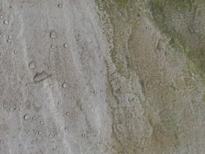 4,9L BPB Algenentferner Vergrünungen Moose Schimmel Betonpflastersteine Naturst. - Bild 1 von 1