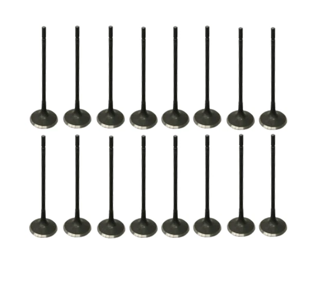 Set of 16 Intake Valves for JAGUAR S-Type Super V8 Vanden Plas XJ8 XJR XK8 XKR Foto 1 de 1