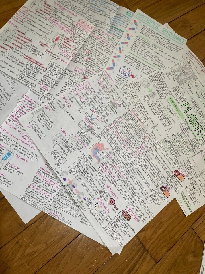 AQA GCSE 9-1 Combined Science - Biology Revision Notes (emailed) - Image 1 of 1