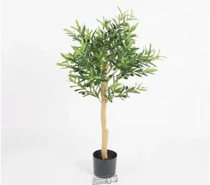 Wicker Park 4' Tall Indoor/Outdoor Faux Olive Tree in Growers Pot - Picture 1 of 2