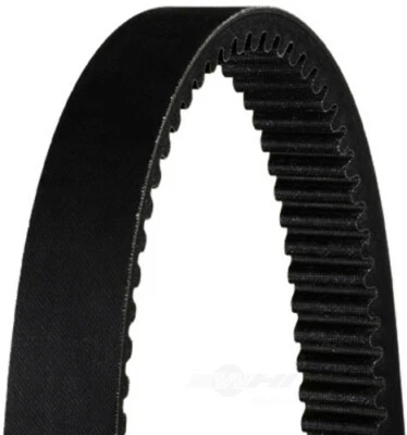 Cinturón Dayco HP3020 Foto 1 de 2