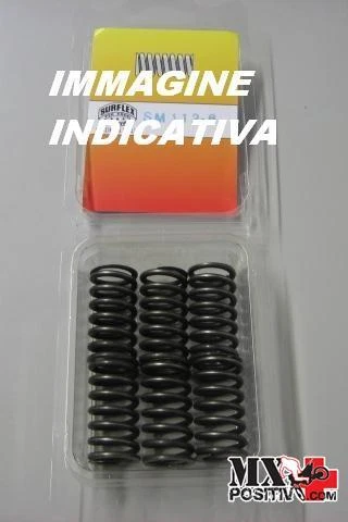 KIT MOLLE FRIZIONE APRILIA TUONO FACTORY 2006-2010 SURFLEX FSRSM100/6 - Immagine 1 di 1