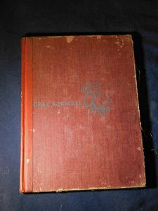 Gray Squirrel by Mary Adrian Fenn, First Edition - Picture 1 of 5