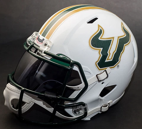 *CUSTOM* SOUTH FLORIDA BULLS USF Riddell SPEED Full Size Replica Football Helmet Cover