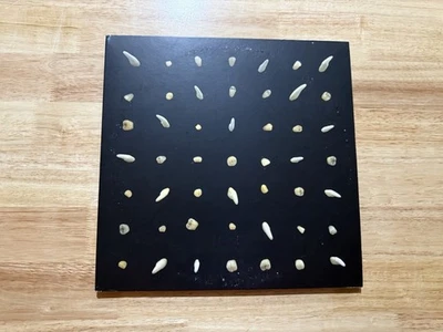 Clipping - Visions Of Bodies Being Burned [Used Vinyl LP] Gold Orange Vinyl - Image 1 of 3