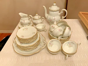 Hutschenreuther Selb Bavaria LHS Sylvia porcelana té café set platos tazas olla - Imagen 1 de 22