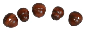 Wood Milled Acorn Nut * Set of 5 * Thanksgiving and Fall Tablescape Decor - Picture 1 of 8