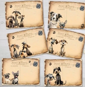 Funny Dogs Post Cards  With/Without Envelopes Scrap Book Journal - Picture 1 of 3