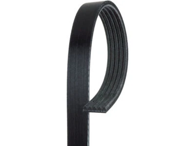 Cinturón multi costilla AC Delco 19495KPWW para Subaru Legacy 2000-2004 Foto 1 de 2