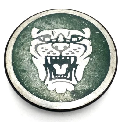 2002 - 2012 年捷豹 S X 型 XF XJ XJ6 XJ8 XK 系列绿色和铬 2.25 — 第 1/4 张图片