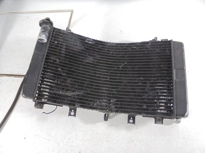 1999-2007 Suzuki GSX1300R Hayabusa OEM радиатор охладитель двигателя радиатор с крышкой - Изображение 1 из 4