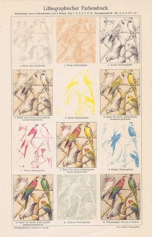 Lithography Farbsteindruck Drucktechnik Lithography V.1905 Chromolithography - Image 1 of 1