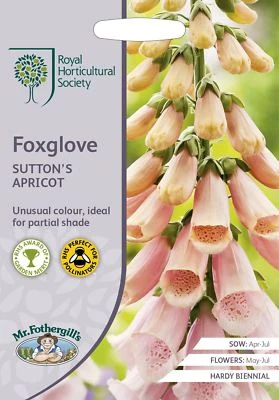 Mr Fothergills -  Flower - RHS Foxglove Sutton's Apricot - 2500 Seeds - Image 1 of 2
