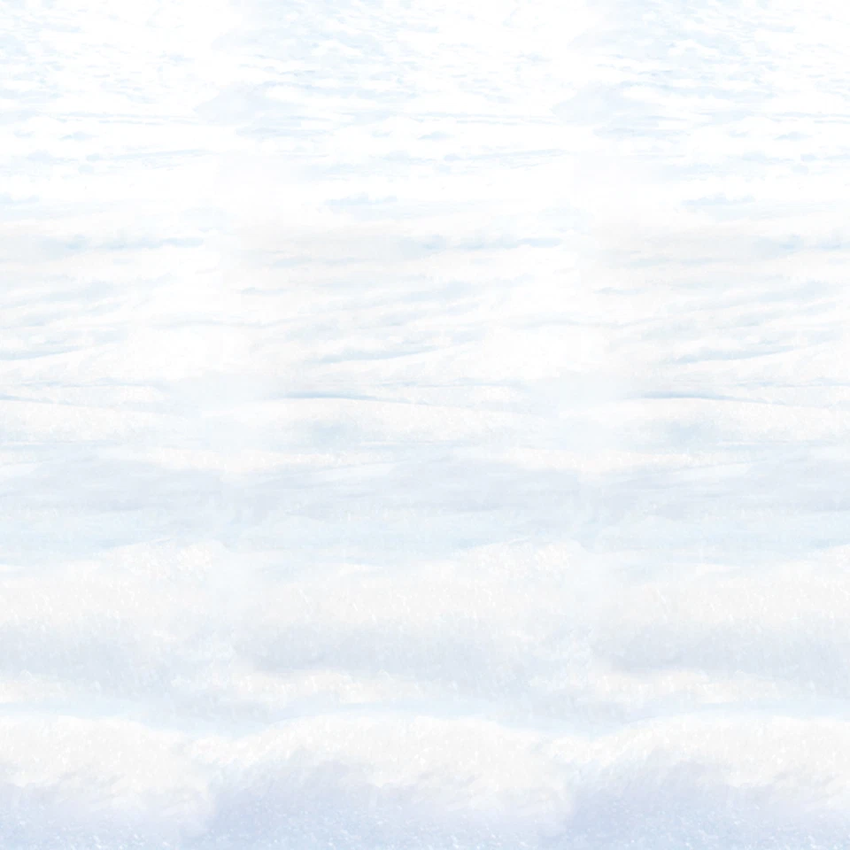 DDI 540477 Snowscape Backdrop Case of 18