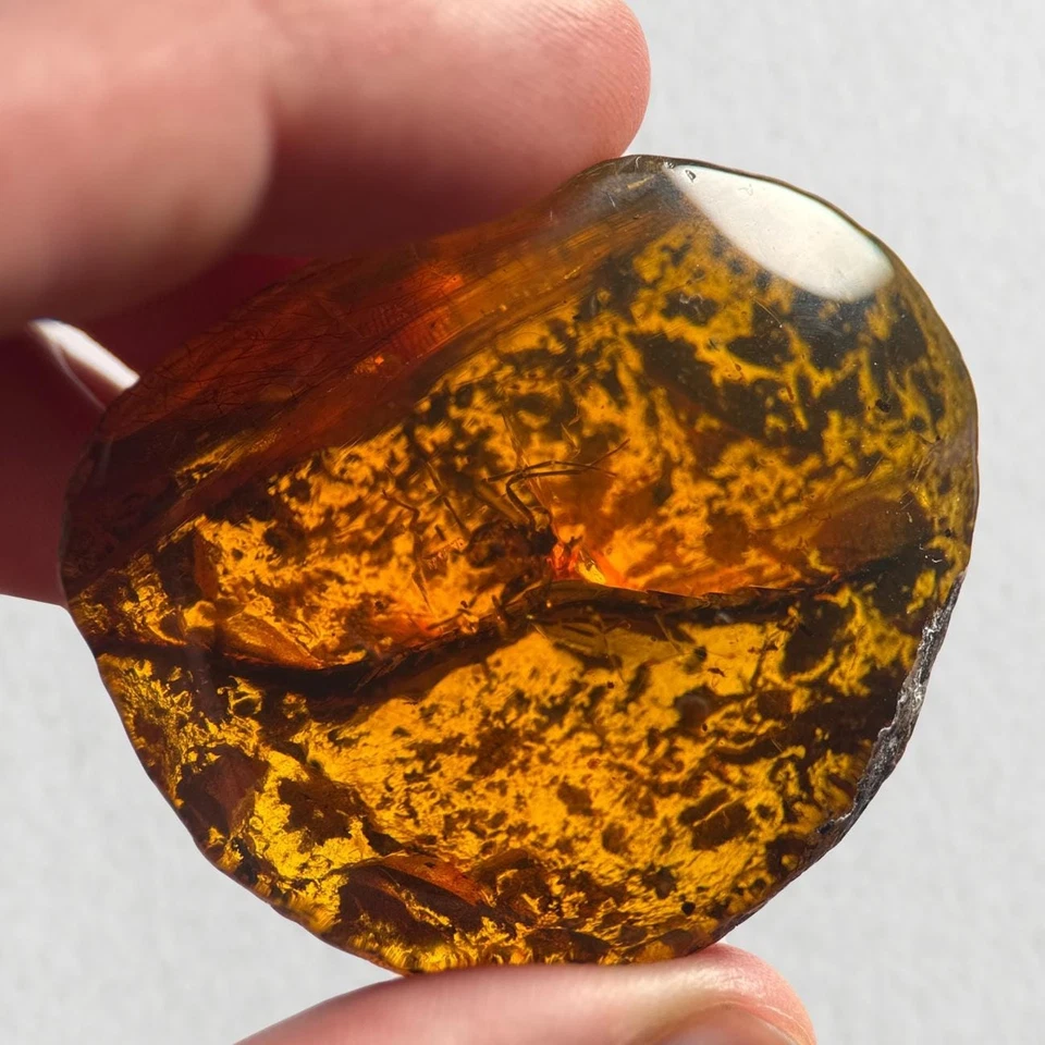 SPIDER in Burmese / Burmite amber fossil / 100% genuine amber  - Image 1 of 4