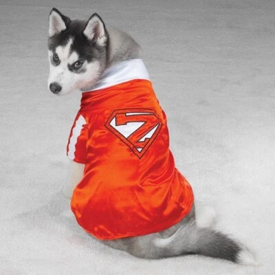 Casual Canine Mighty Mutt Pet Costume for Little Dogs or Cats  Size XS - Image 1 of 4