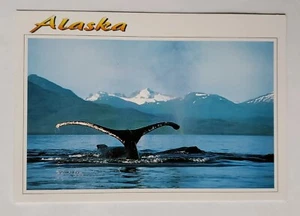 Postcard ALASKA USA Whale Tale Wild Animal - Picture 1 of 4